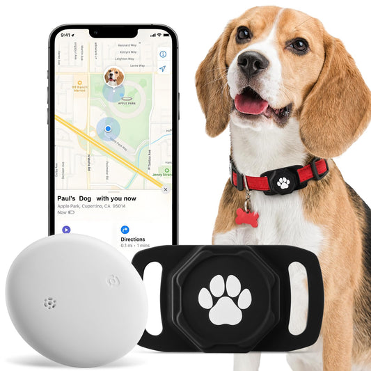 How Smart Pet Tech Is Transforming Pet Care in the USA – A Deep Dive for Pet Parents