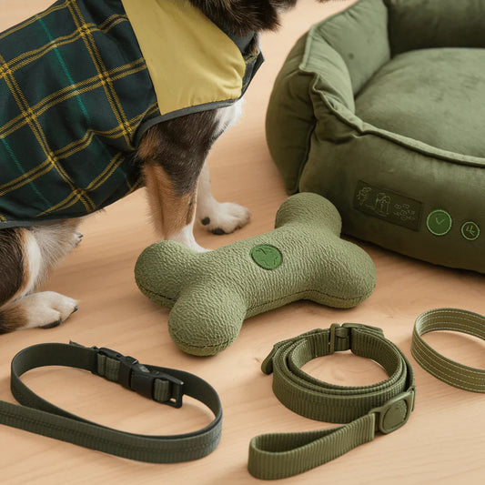 Why Eco-Friendly Pet Products Are the Future of Pet Care in the U.S.