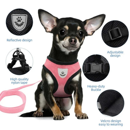 BreezeGuard™ Summer Mesh Harness & Leash Set