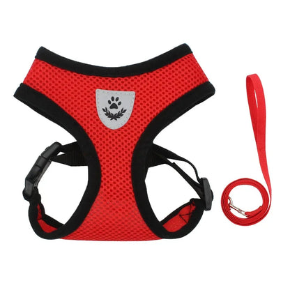 BreezeGuard™ Summer Mesh Harness & Leash Set