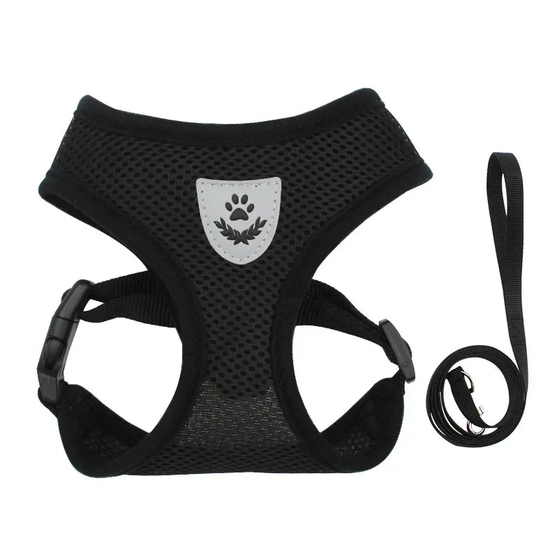 BreezeGuard™ Summer Mesh Harness & Leash Set