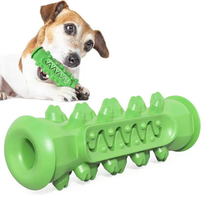 ChewBuddy™ Rubber Dog Toothbrush Toy