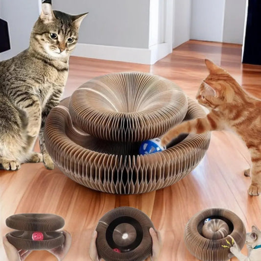 WhiskerWhirl™ Magic Cat Scratch Organ Toy