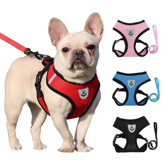 BreezeGuard™ Summer Mesh Harness & Leash Set