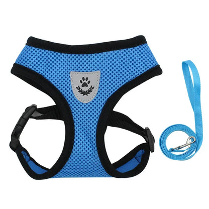 BreezeGuard™ Summer Mesh Harness & Leash Set