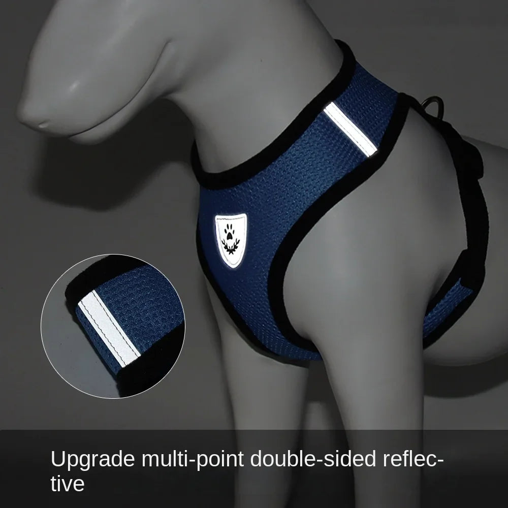 BreezeGuard™ Summer Mesh Harness & Leash Set