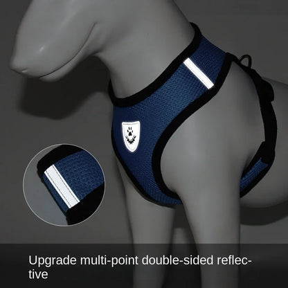BreezeGuard™ Summer Mesh Harness & Leash Set