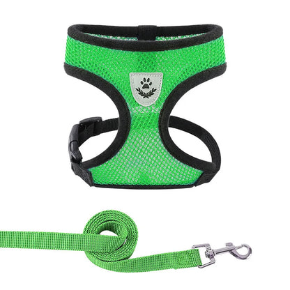 BreezeGuard™ Summer Mesh Harness & Leash Set