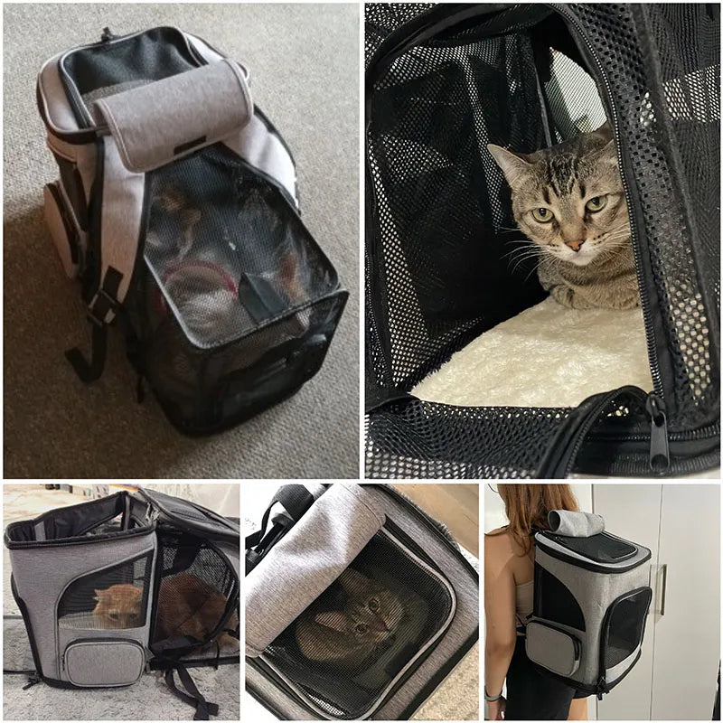 AirPaw™ Breathable Foldable Pet Carrier Backpack
