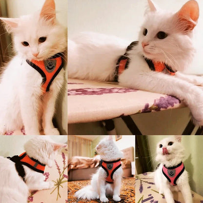 BreezeGuard™ Summer Mesh Harness & Leash Set